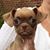 Claws N Paws's profile image