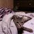 Tammy Geissinger's profile image