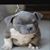 Kyle Grusman's profile image