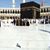 Saira Asghar Chibra's profile image