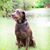 Matthew Brown's profile image
