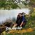Lam Phuong's profile image