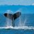 Linda Miller Branch's profile image