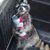 Christopher Koen's profile image