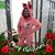 Karry Ann's profile image