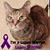 Terry Gaugh's profile image
