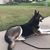 Lisa Paul Balderston's profile image
