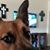 Heather Robinett's profile image