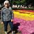 Teri Walker's profile image