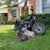 Boyd Batterson's profile image