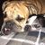 Debbie Barr Rednour's profile image