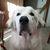 Deborah Hammons's profile image