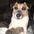 Judy Krause's profile image