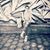 Elizabet Cavazos's profile image