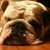 Biggie Ly's profile image