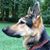 Sandy Hudson's profile image