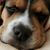 Charles Baker's profile image