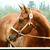 Karen Erickson's profile image