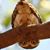 Laurie Cavallo Lemon's profile image