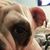 Claudia Bernal's profile image