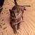 Laurie Butin's profile image