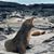 Karen Vogel's profile image