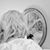 Dana Griffin Patrick's profile image