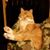 David W. Roadcap's profile image