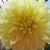 Martie Heath-Sinclair's profile image