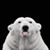 Janie Jacobs's profile image
