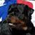 Kerri Beth Smith's profile image