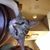 Stacey DeAngelis's profile image