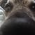 Melodee Crawford's profile image