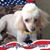 Susan Warren's profile image