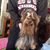 Doris Nason-Rush's profile image