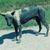Serene Tirri's profile image