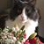 Ina Slusher's profile image