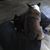 Delania McNatt's profile image