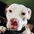 Pendell Wasson's profile image