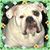 Heather Hollingsworth Phillips's profile image