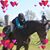 Katie Eagleston's profile image