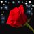 Sheila Mccawley-schultz's profile image