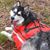 Maggie Bonham's profile image