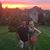 Mike N Alyse Stell's profile image