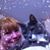 Maria Nobile's profile image