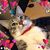 Kimberly Hill-Tate's profile image