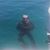 Tommy Powell's profile image