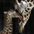 Megan Mahoney Parmelee's profile image