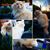 Carole Smith's profile image
