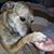Lisa Haney-Green's profile image